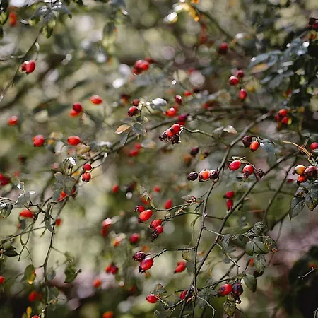 In 34975 Casa vacanze *