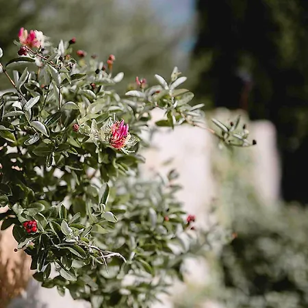 In 34975 Casa vacanze Sukoró